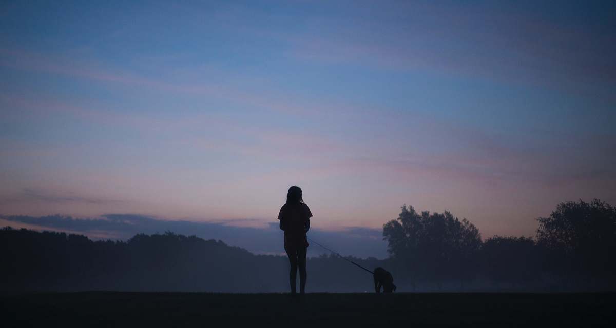 sky silhouette person standing holding dog sunrise