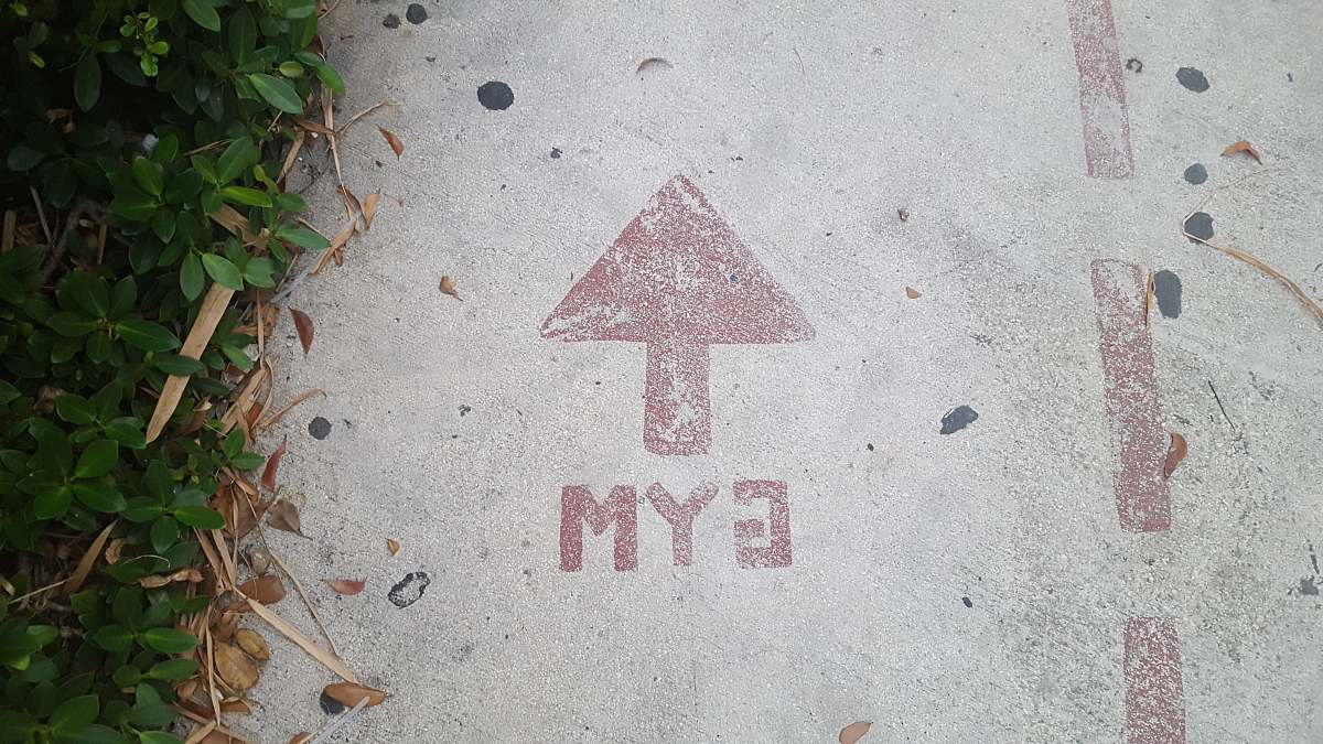 arrow gym road signage ivy