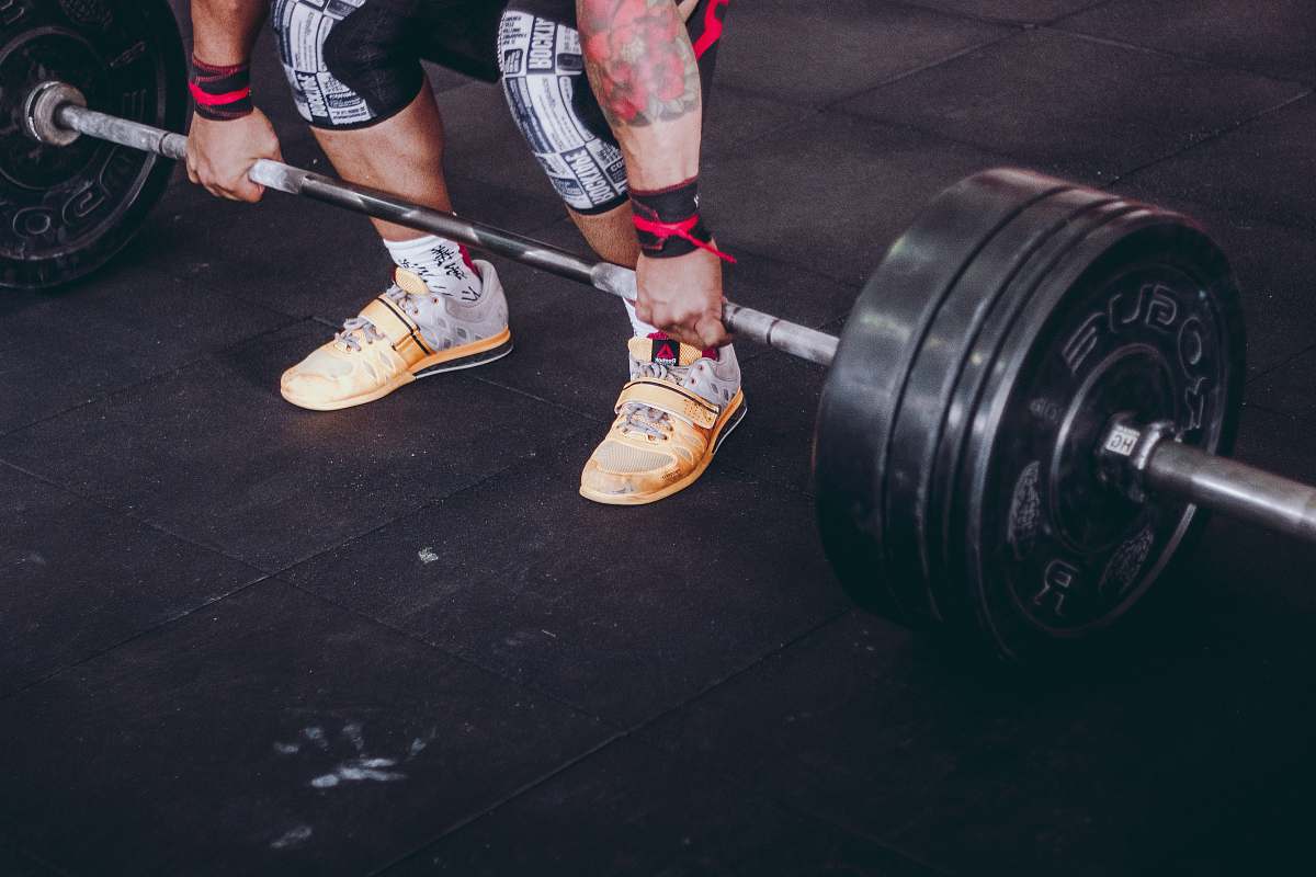 muscles person holding the barbell muscle