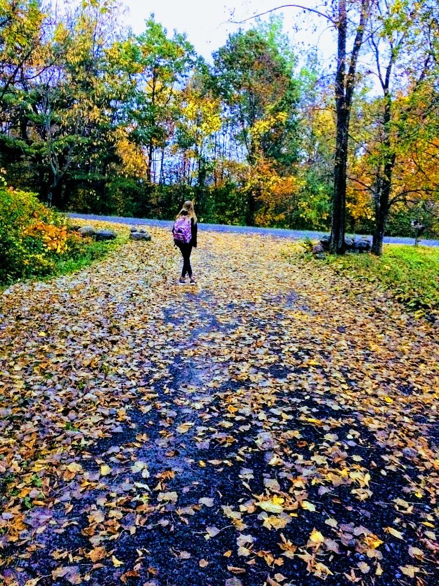 person girl walking on road plant
