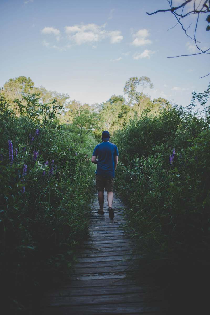 people man in blue crew-neck shirt while walking on brown dock person