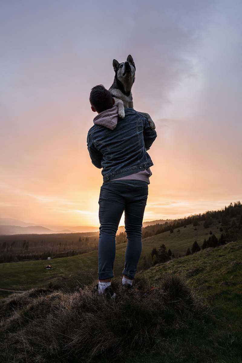 Person Man Lifting Dog During Sunset Nature Image Free Photo