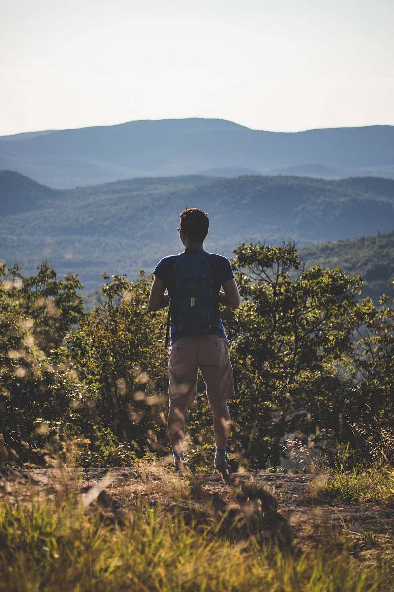 person man standing on hill with trees outdoors