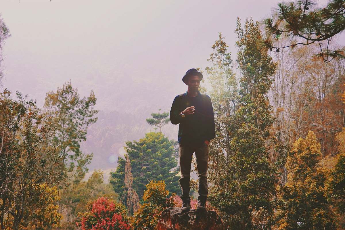 person man standing on rock surrounded by trees tree