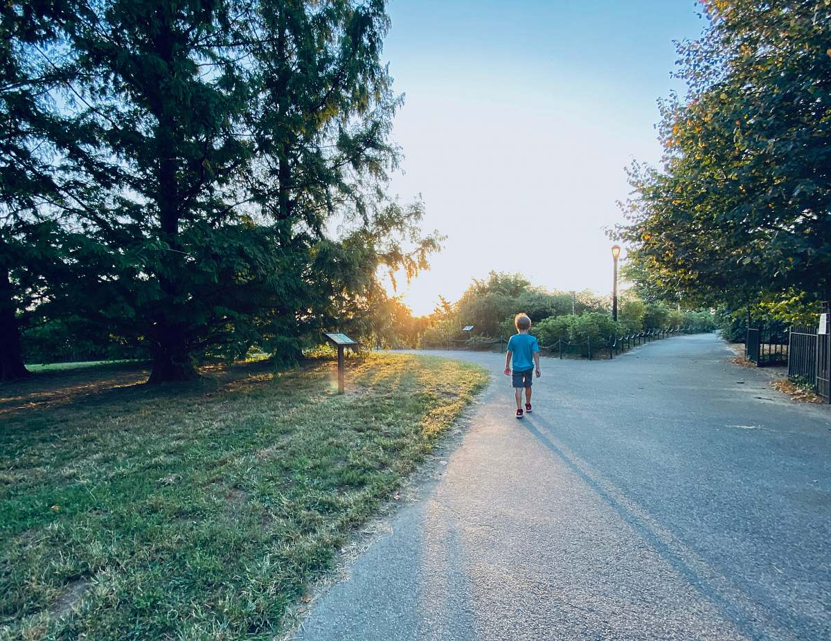 person man wearing blue shirt walking near trees asphalt