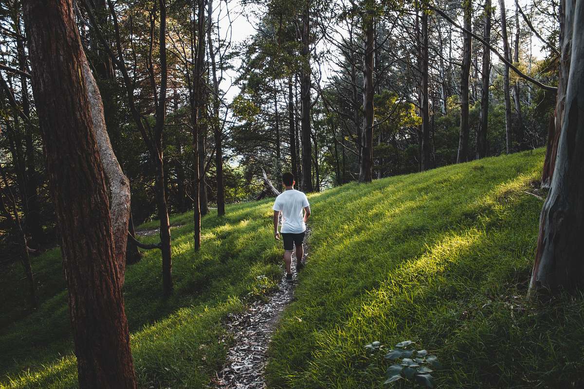 person man wearing white shirt hiking near grass and trees plant