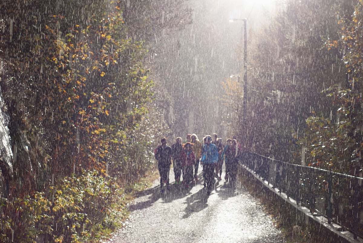 person people in pathway during rain vegetation