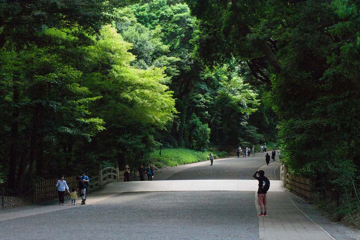 person people walking at sidewalk by tree during daytime outdoors