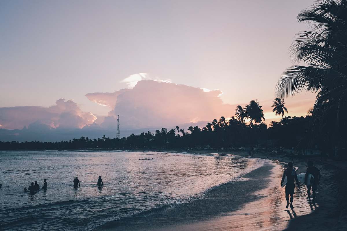 person people walking at the seashore people