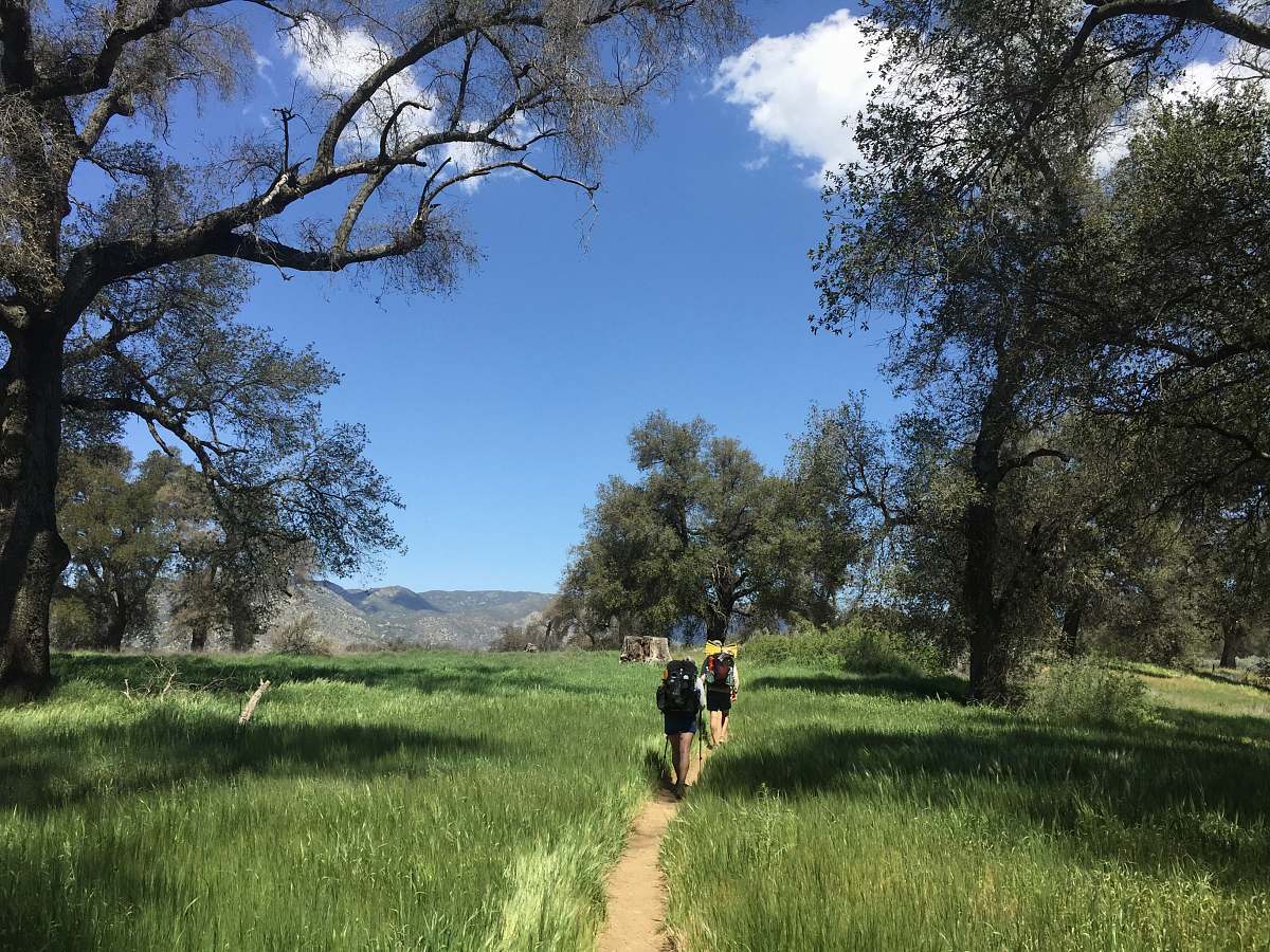 person people walking on trail across grass field trail