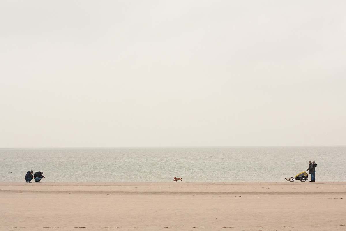 grey person standing on sea shore sea