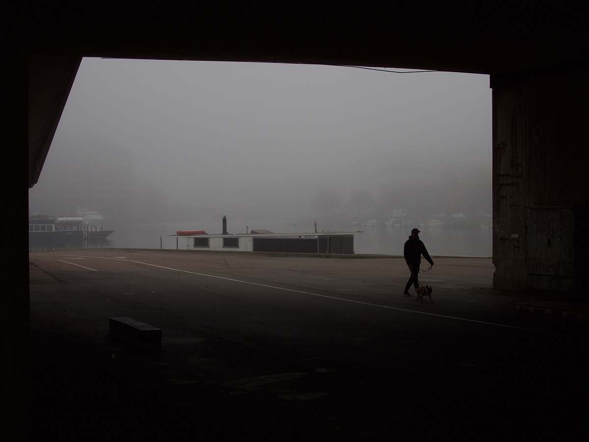 person person walking on road under foggy weather grey