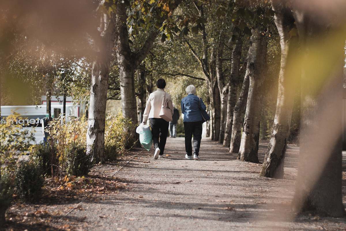 person two women walking near trees during daytime walking