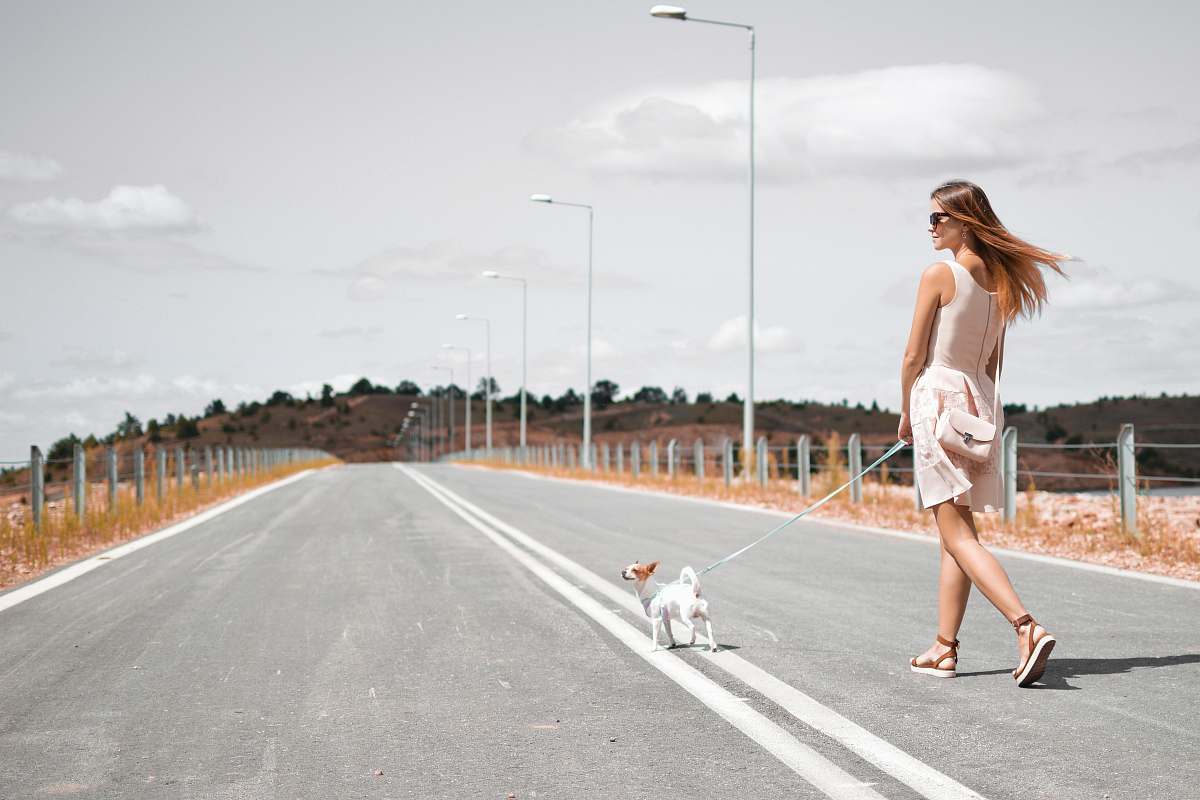 people woman in white sleeveless dress holding harness of puppy walking on asphalt road during daytime woman