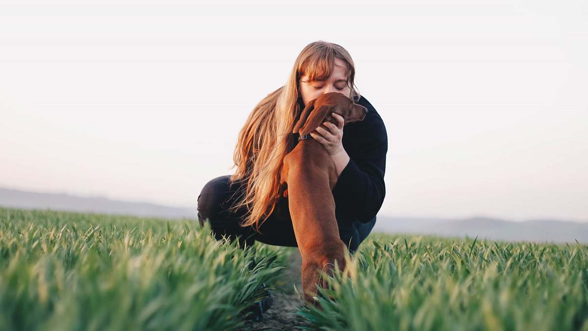 plant woman kissing adult brown dachshund grass