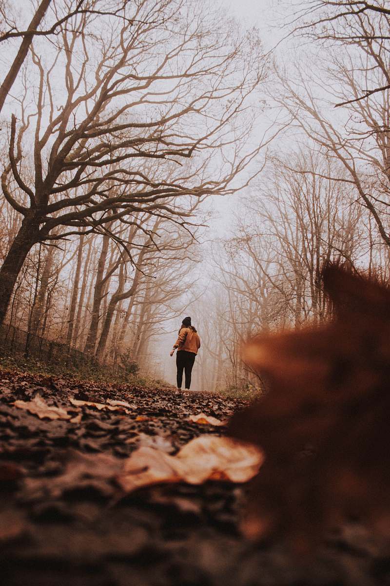 person woman standing beside bare trees ground