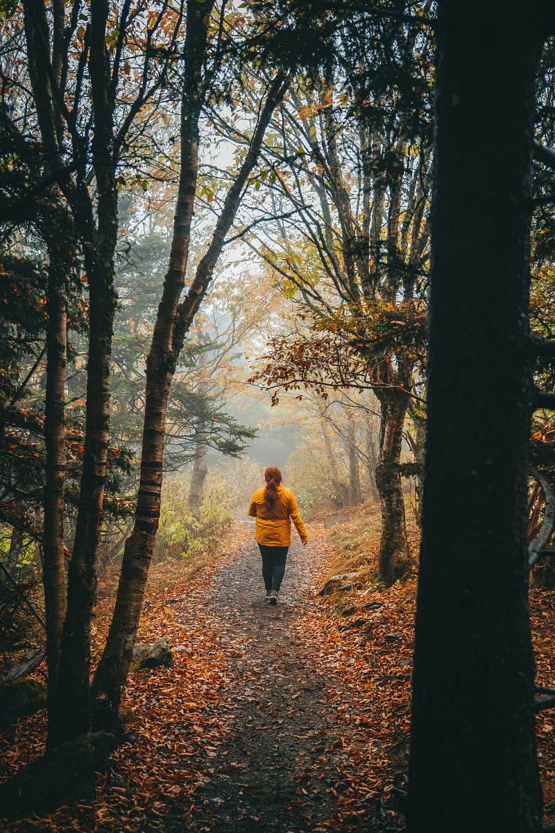 person woman walking in forest plant
