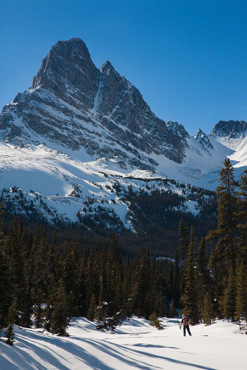 canada snow capped mountain mountain