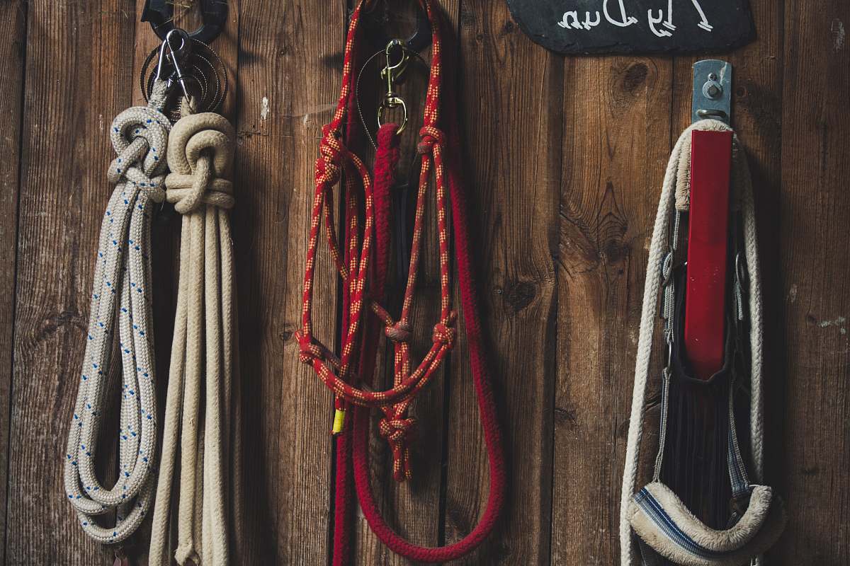 wood assorted ropes on hook jockey