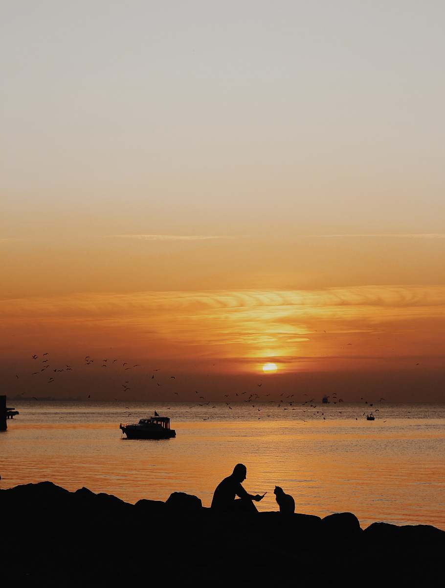 nature silhouette of man sitting beside cat sitting on stone in front of beach under golden hour dawn