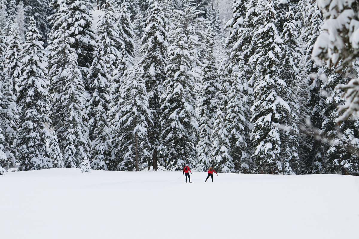 snow two people standing on snow plain in front of trees sports