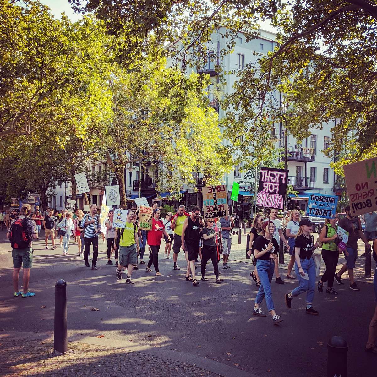 human group of people on road with signage pedestrian