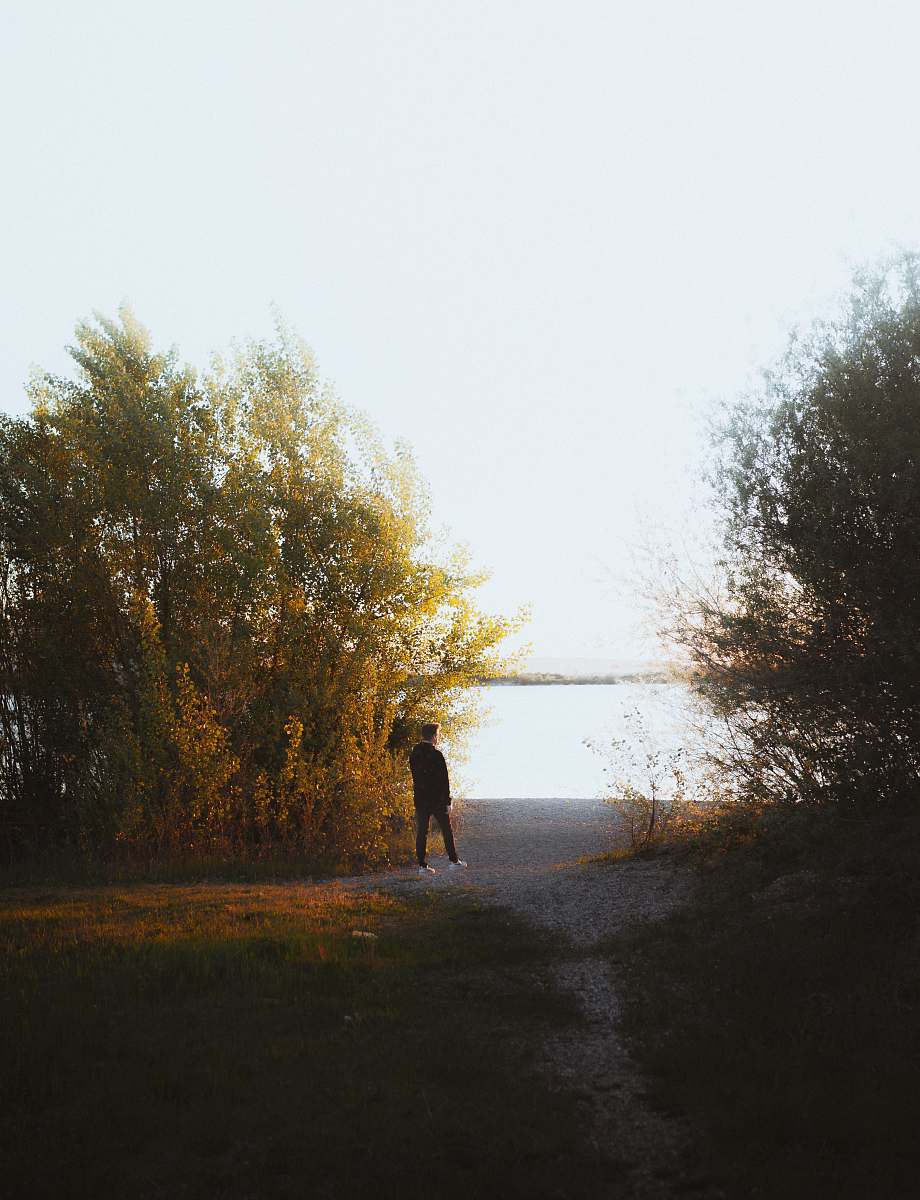 human man standing near tree tree