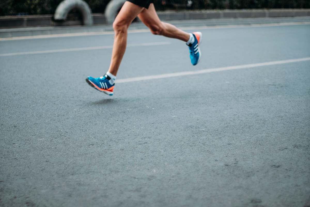 human pair of blue-and-white Adidas running shoes clothing