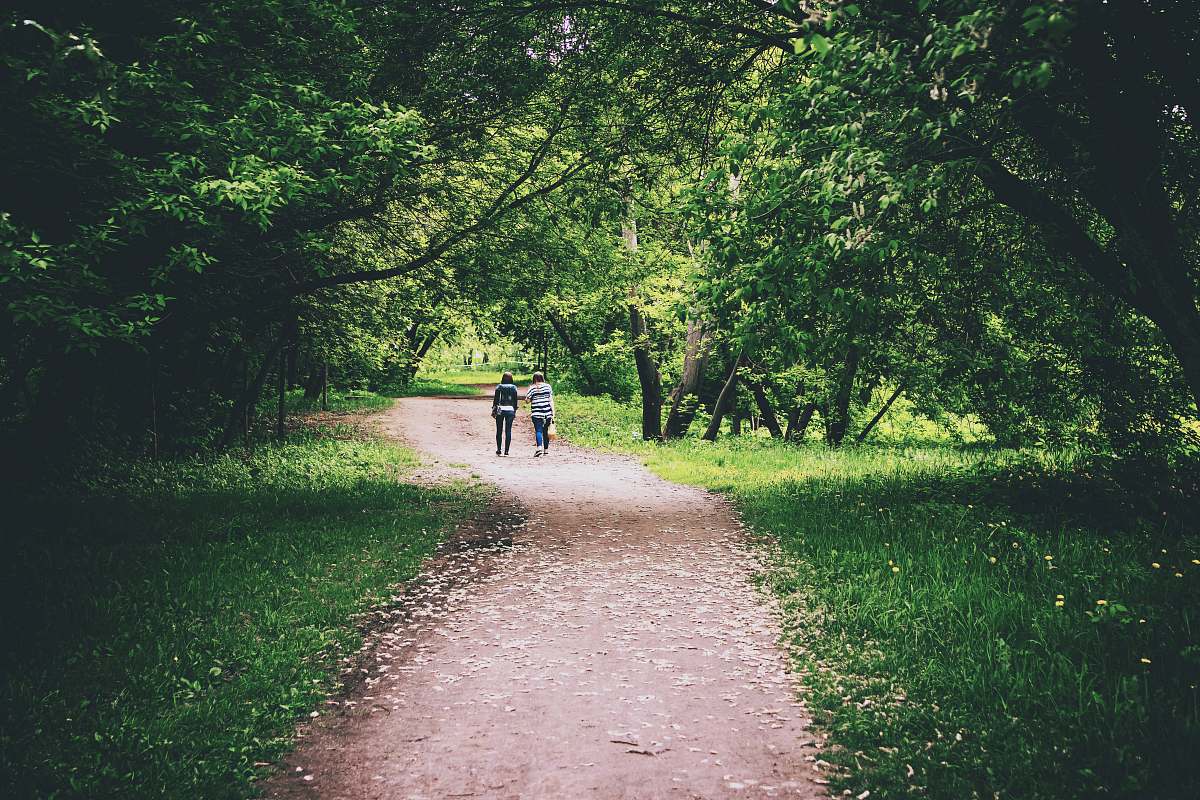 human people on pathway between trees path