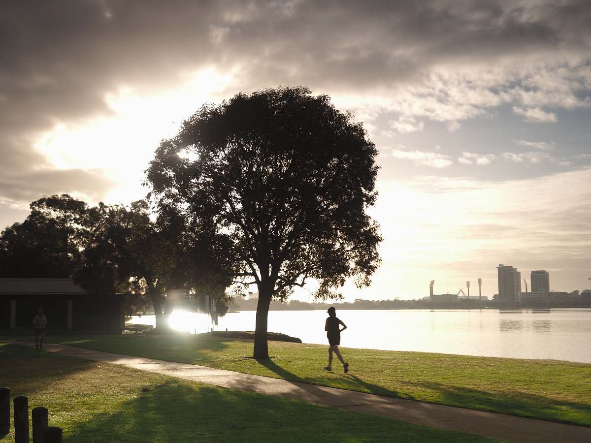 human person running beside tree sport