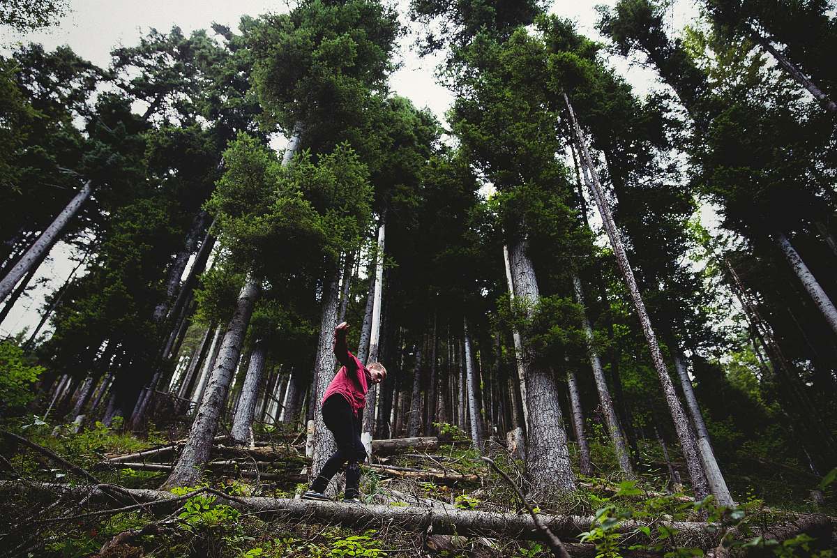nature person stepping on gray log forest
