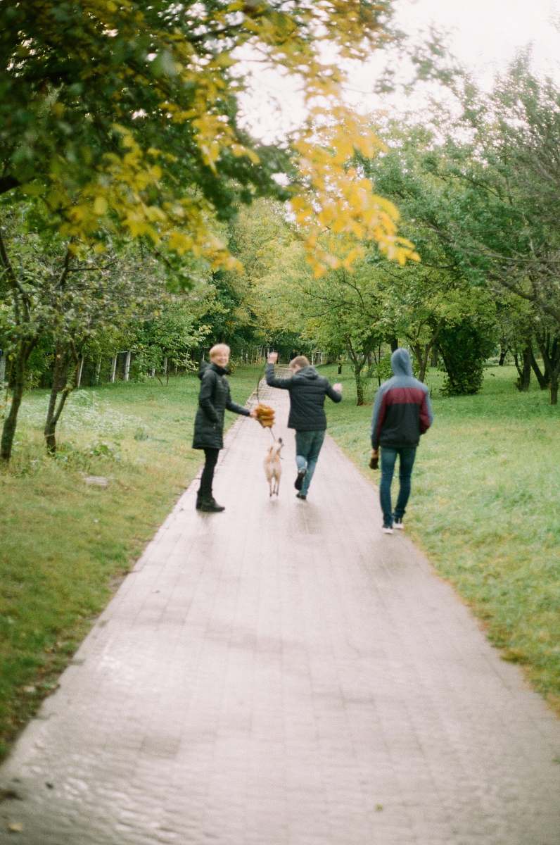 human thee people walking along a pathway between green trees walking