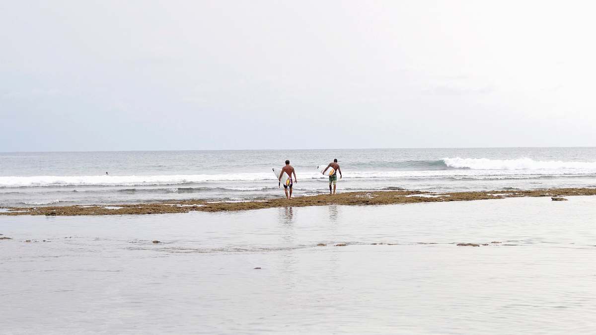 human two men holding white surfboards walking on seashore nature