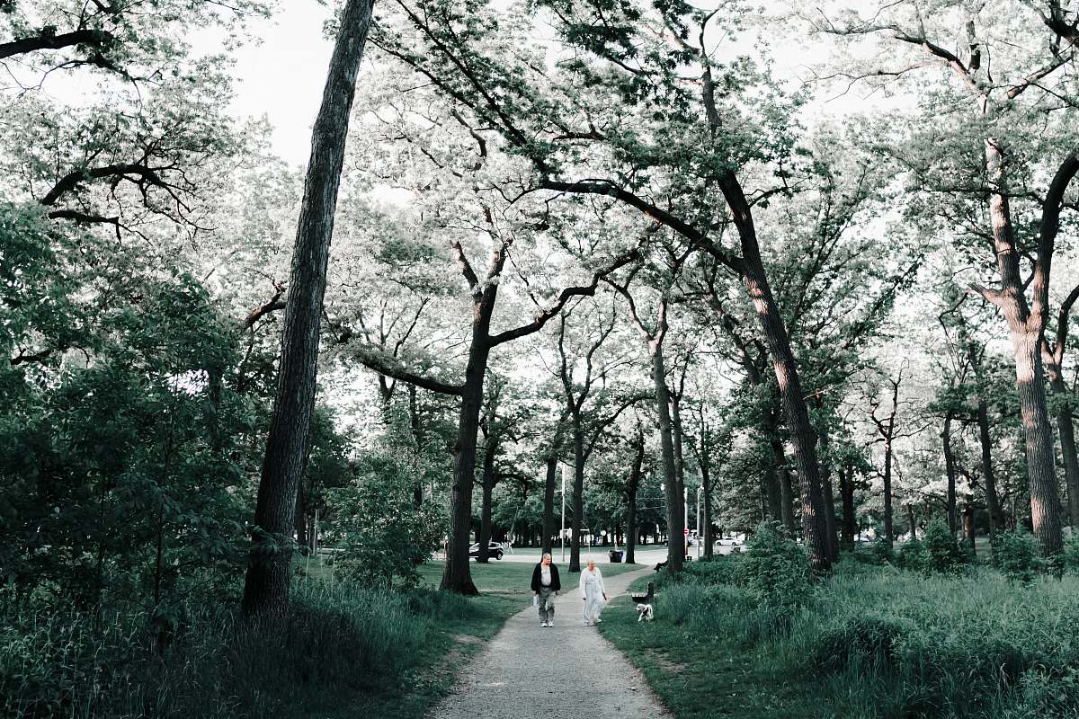 human two person walking in pathway during daytime plant