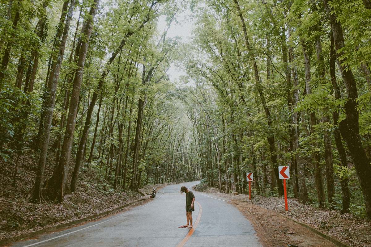 forest person standing in the street with trees beside it route