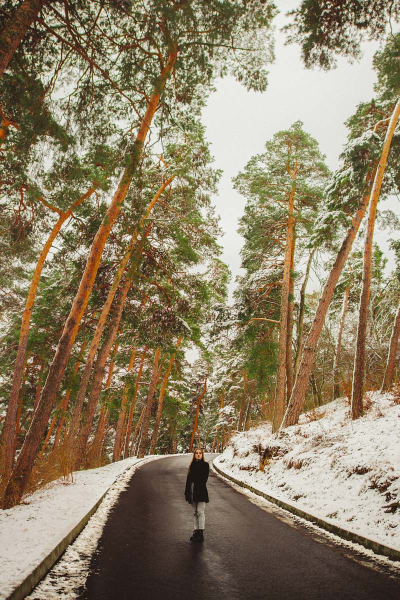 forest woman on road between trees tree