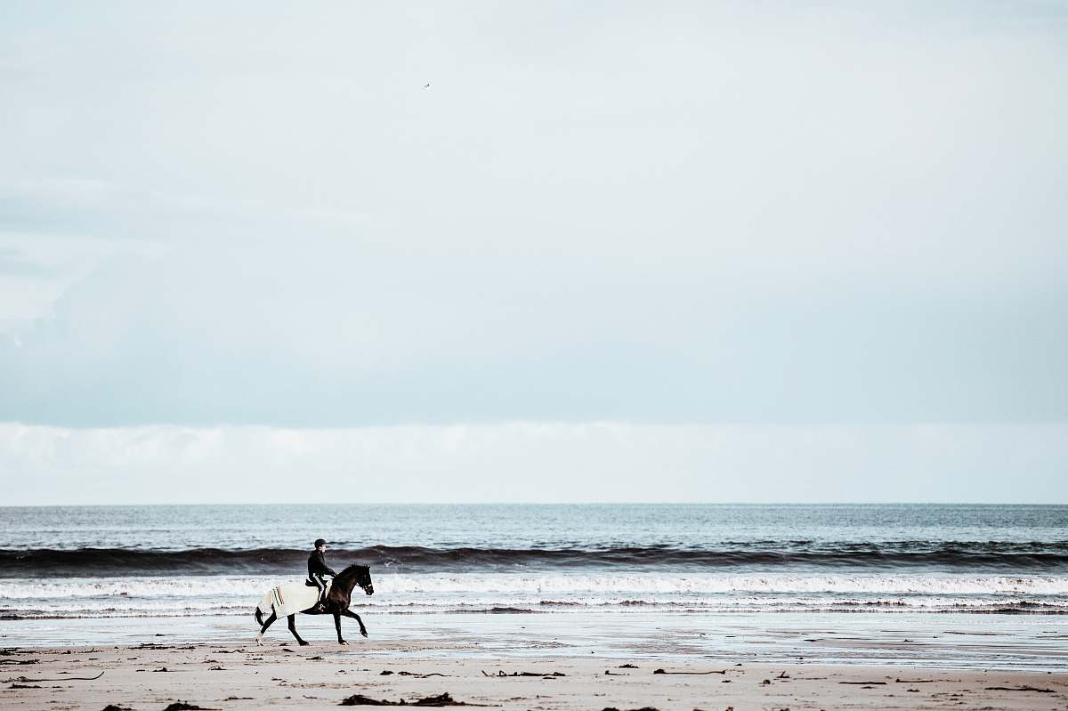 beach person riding on horse running in seashore ocean