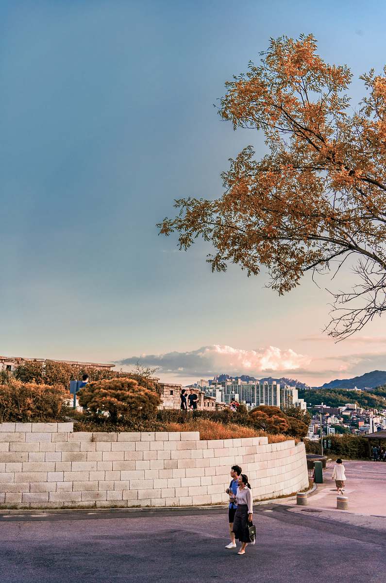 wall man holding hands with girl while walking on road under brown tree urban