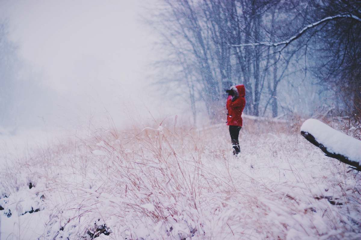 winter person standing wearing red coat near bare trees forest