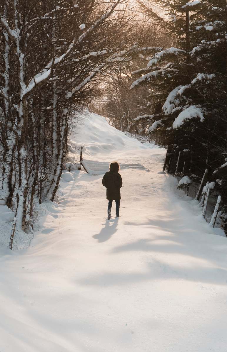 outdoors person waling on snow field surrounded by trees oltedal