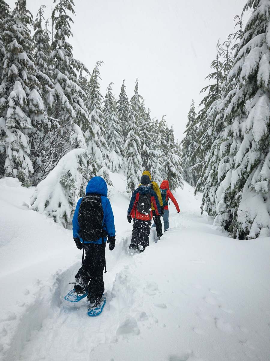 snow four person walking on snow field play