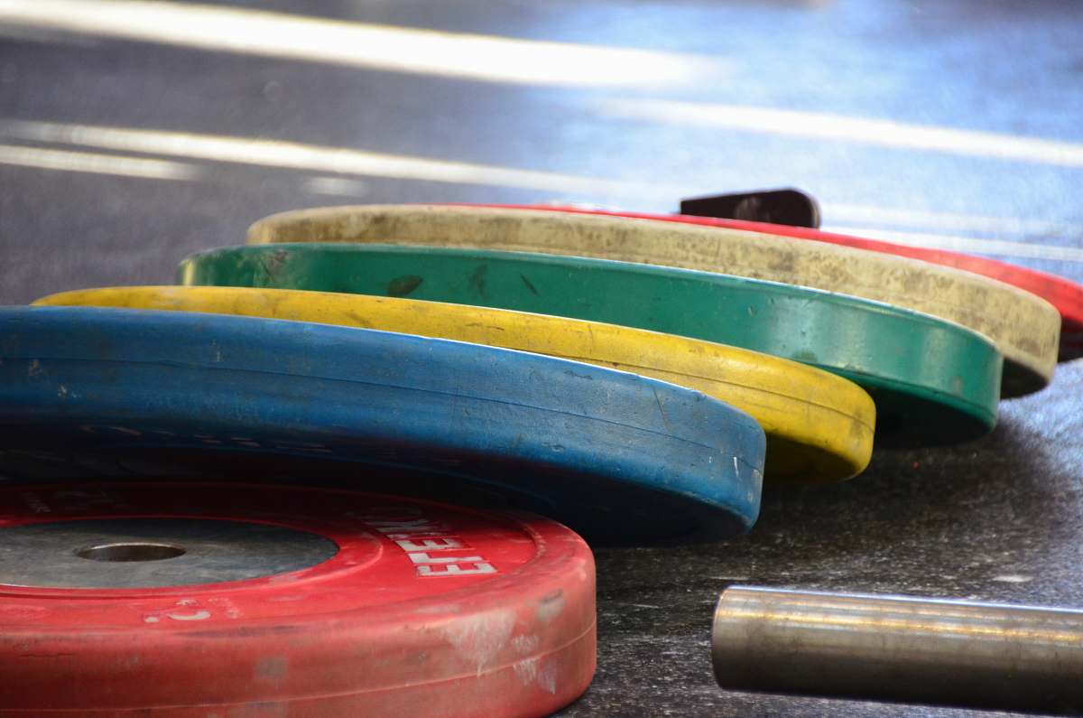 fitness assorted-color barbell plates transportation