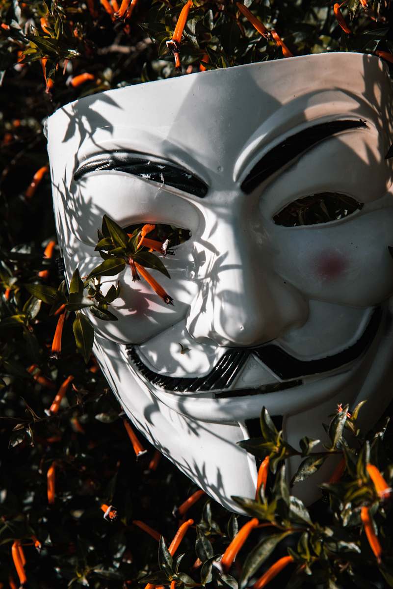 helmet Guy Fawkes mask on plant apparel