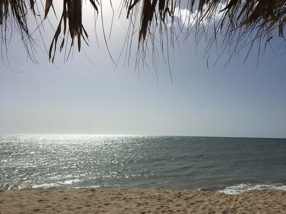 shoreline seashore and body of water grey
