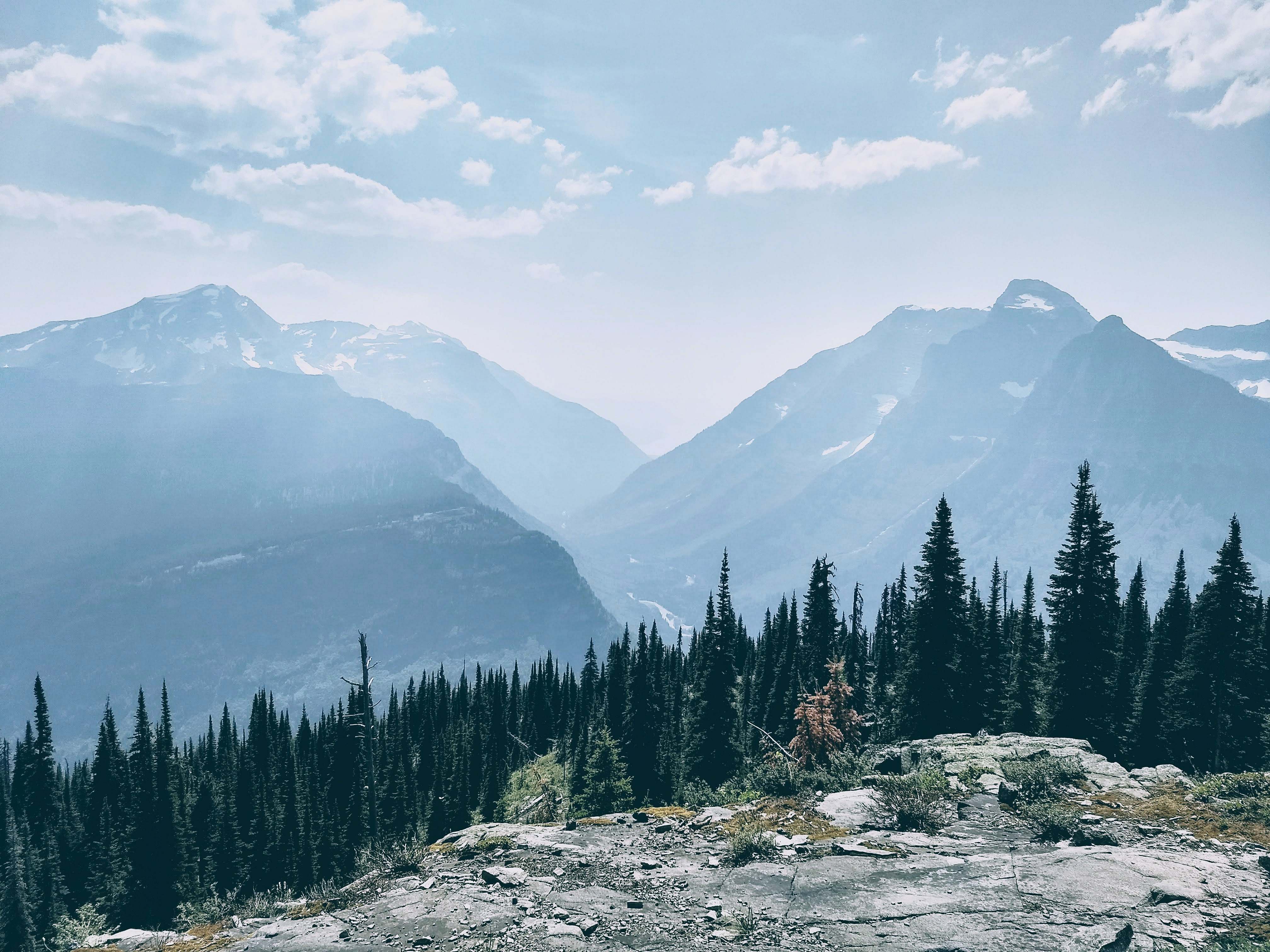 nature mountains in front of pine trees during daytime outdoors Image ...