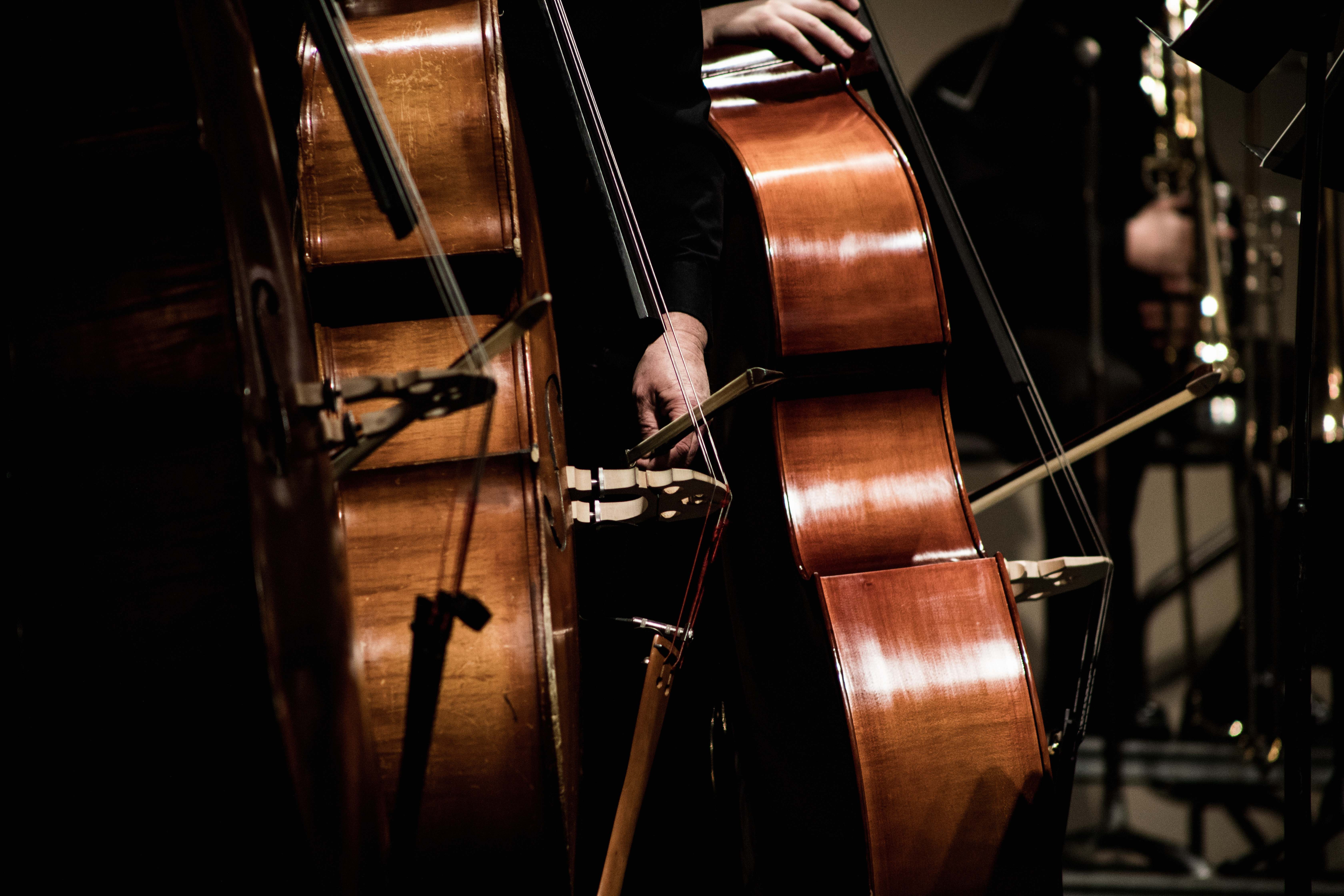 Leisure Activities Person Playing Cello Cello Image Free Photo