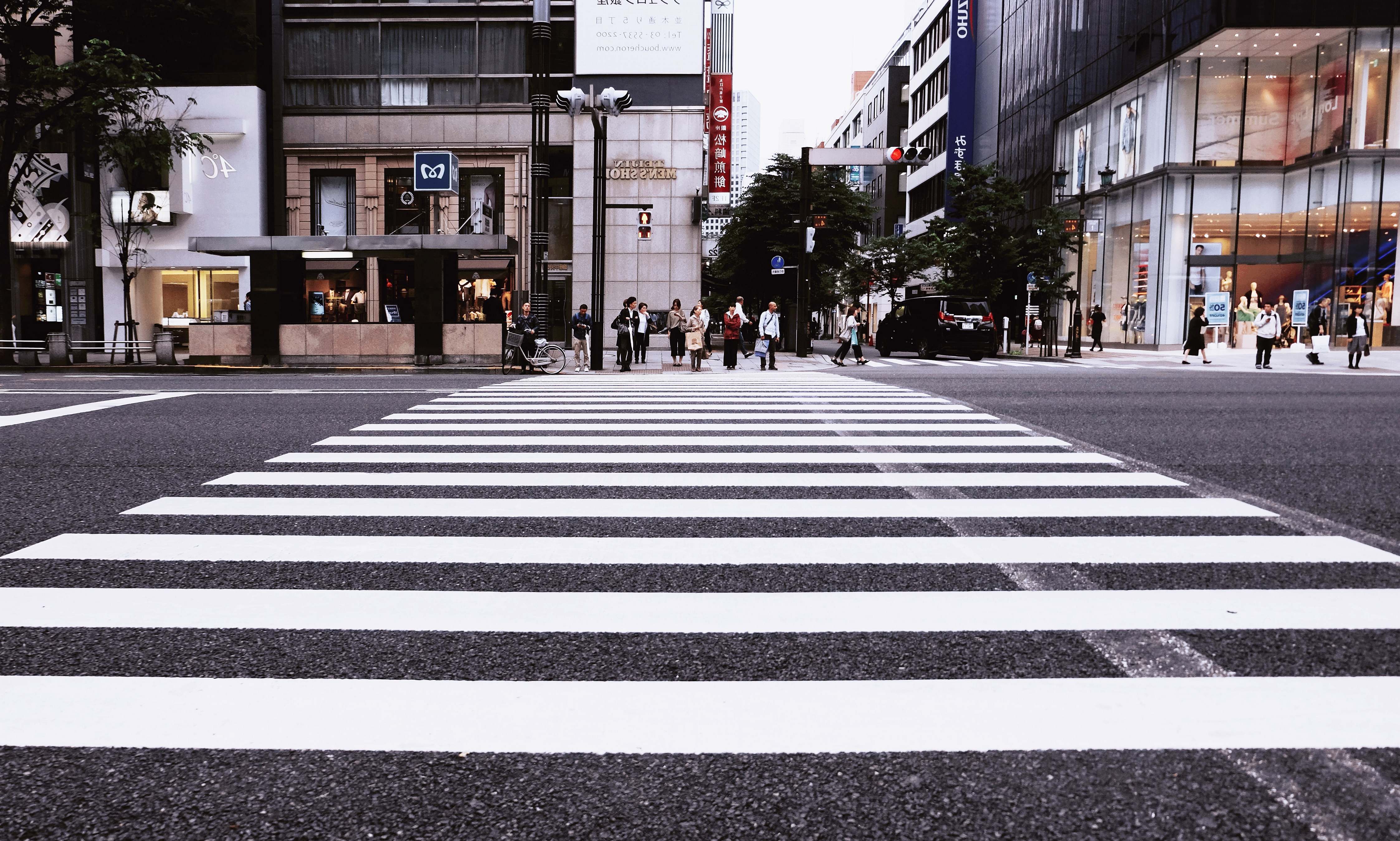 japan people standing on pedestrian lane crossing Image - Free Stock Photo