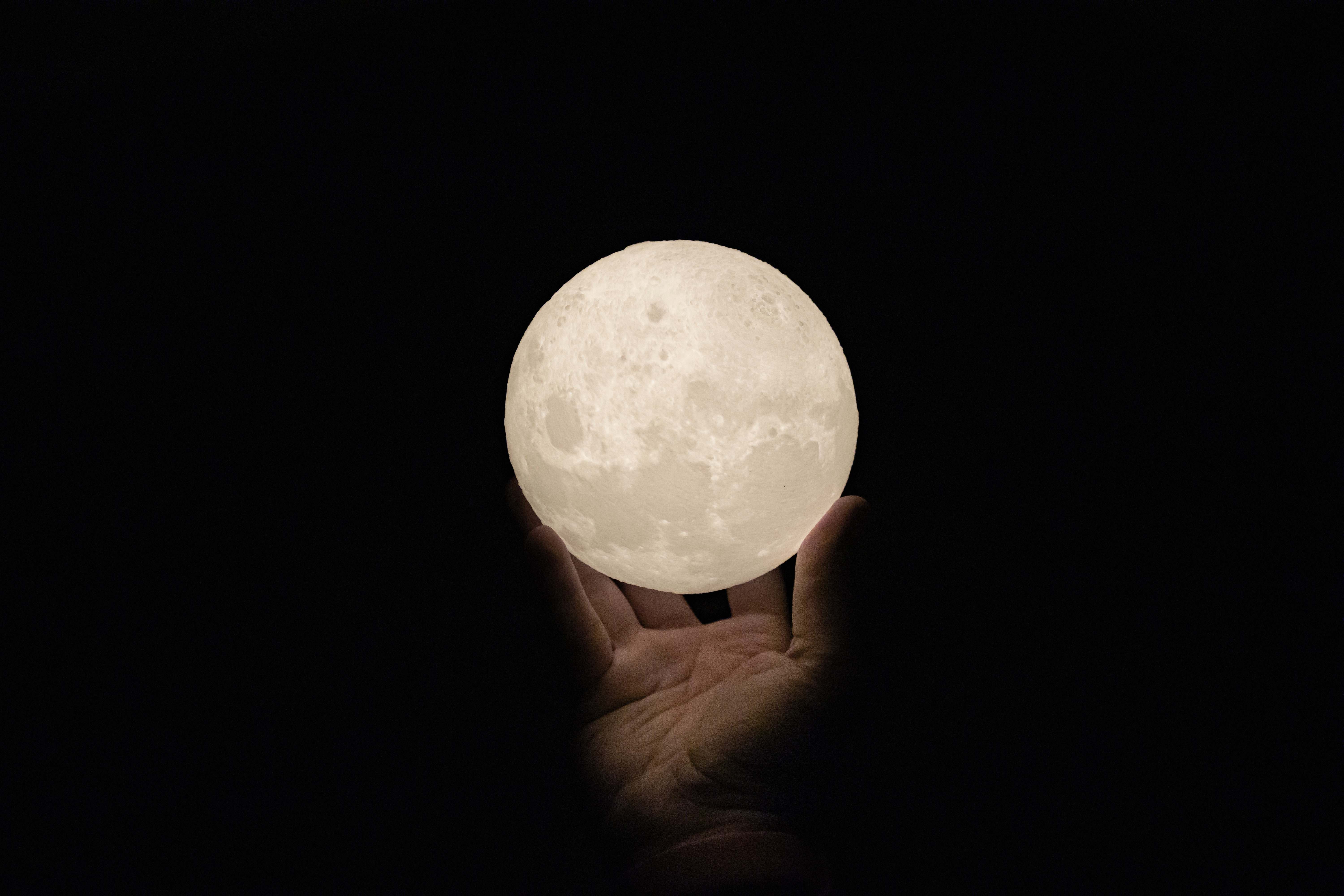 Nature Moon Egg Image Free Photo