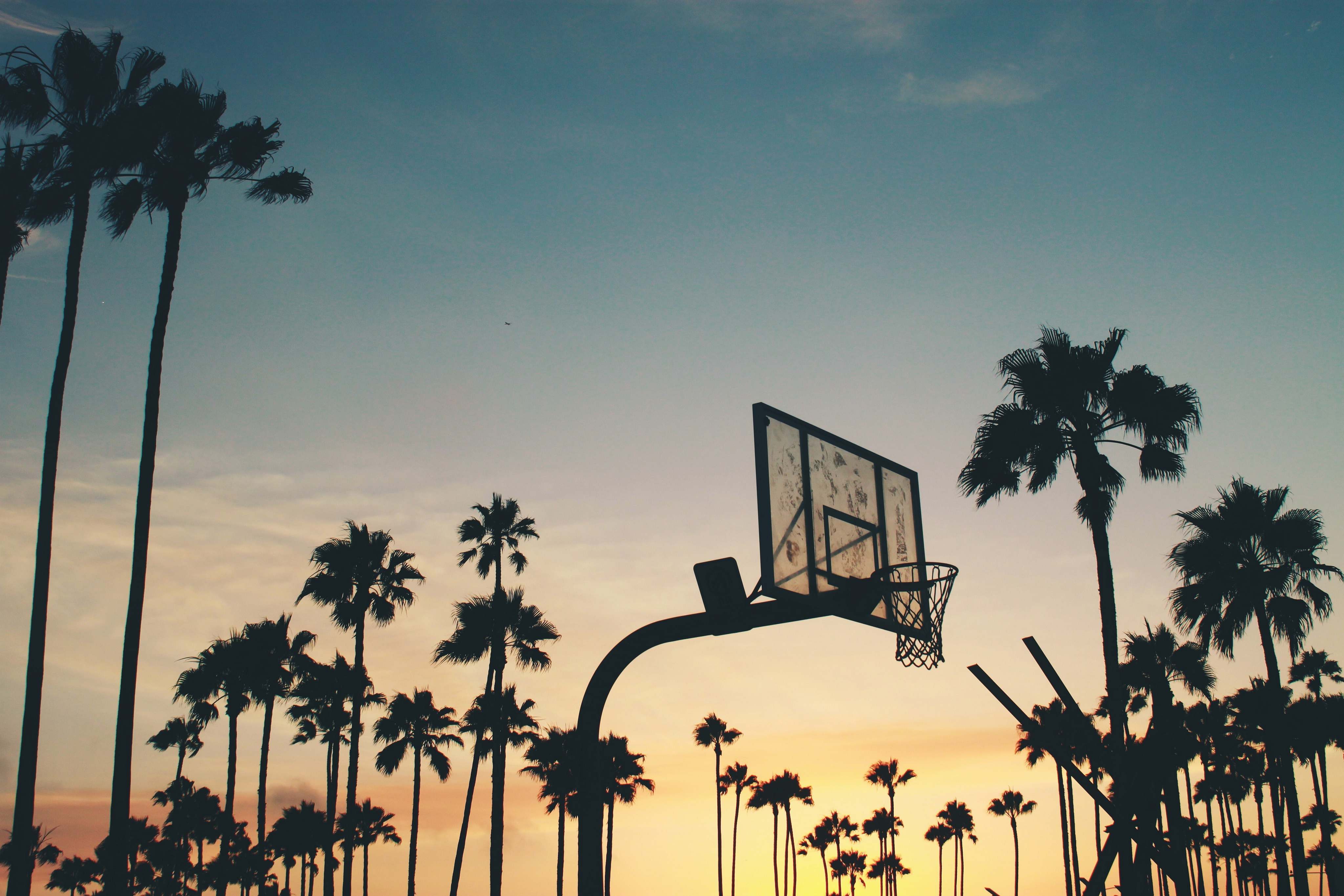 Tree Silhouette Photo Of Basketball System Palm Tree Image Free Photo