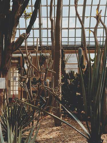 building indoor plants 344 n hamlin ave